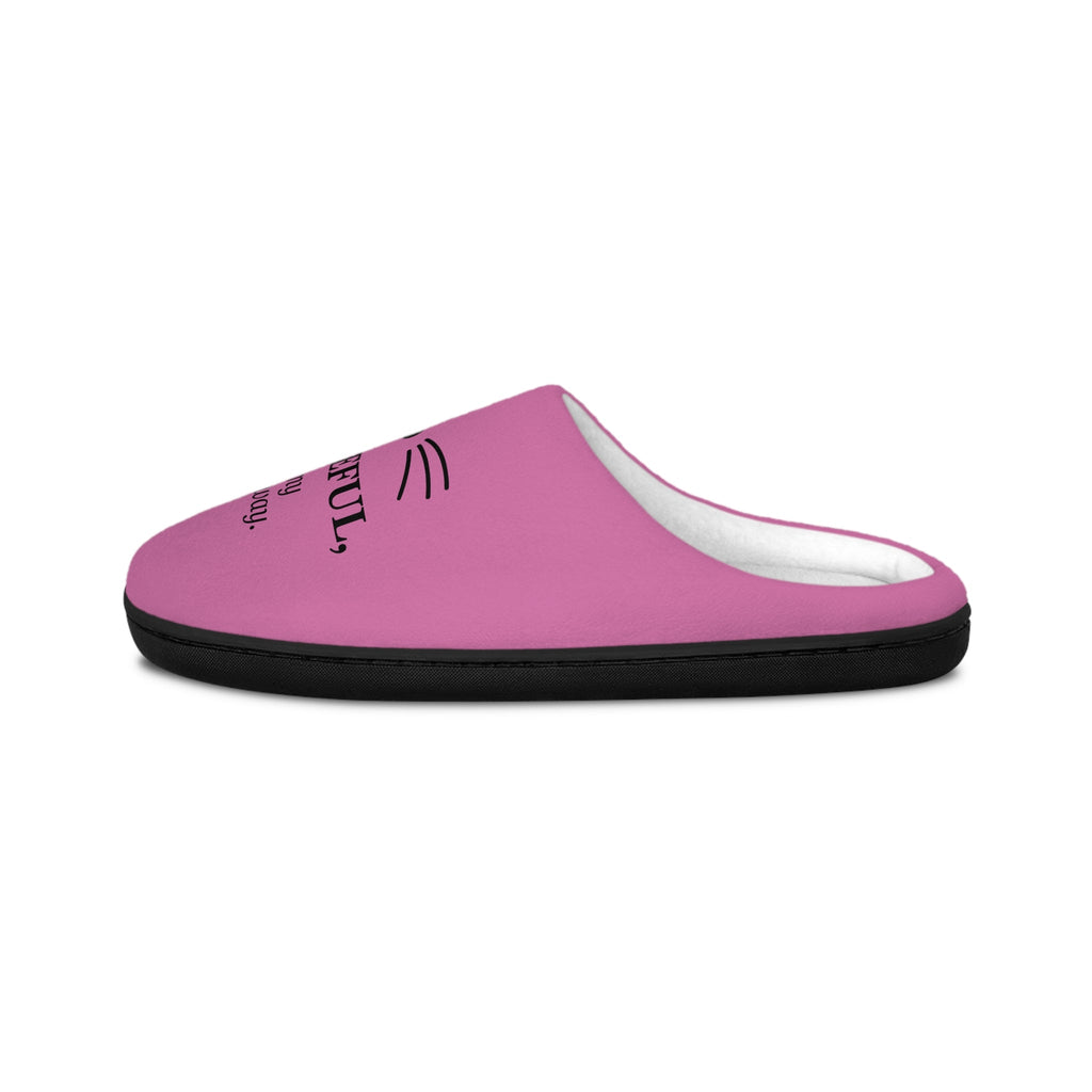 Women’s “Graceful… In My Own Way” Cat Slippers